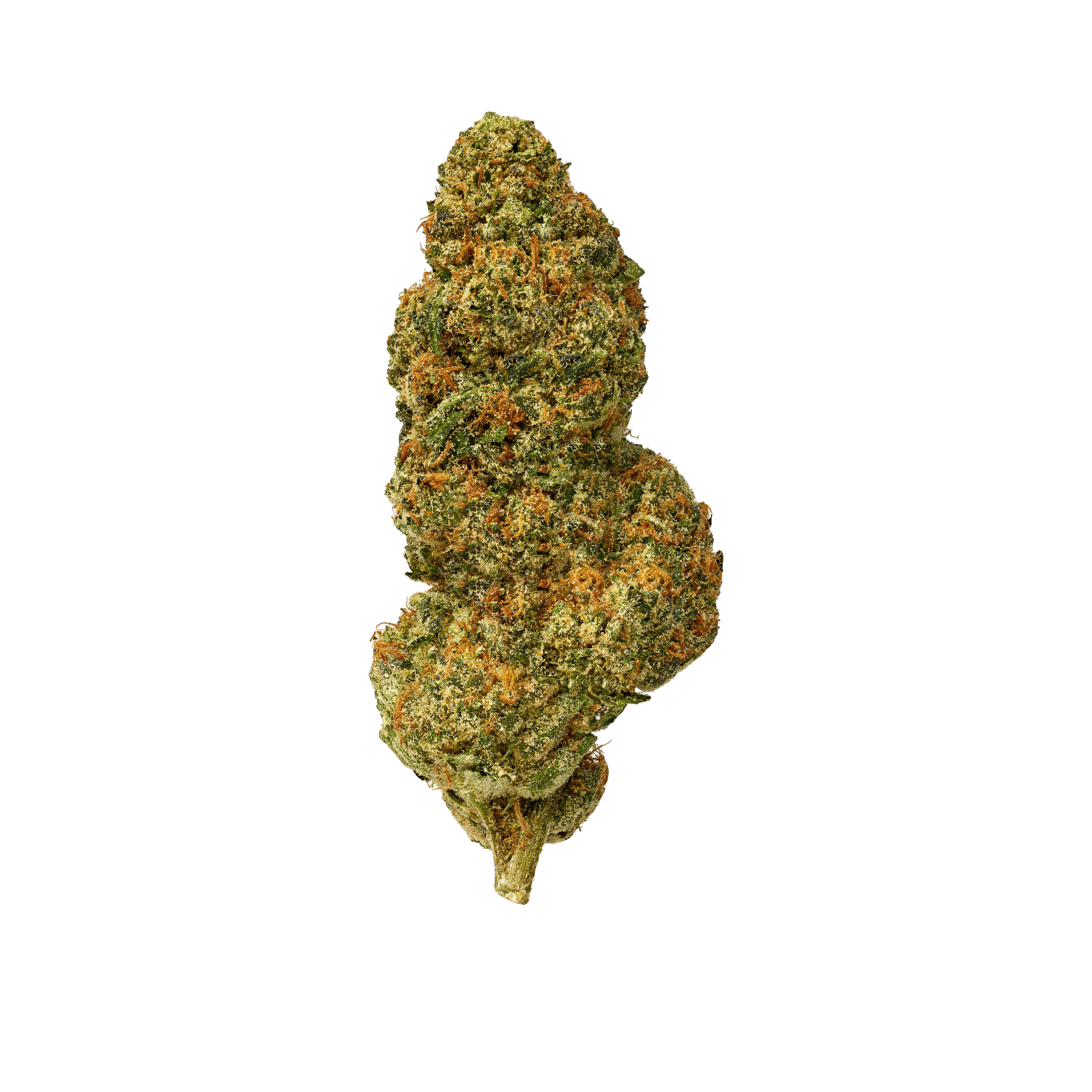 Cupid's Kush
