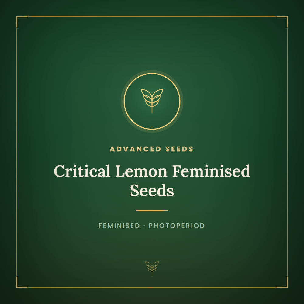 ADV-CRL-FEM-1000x1000-0.png
