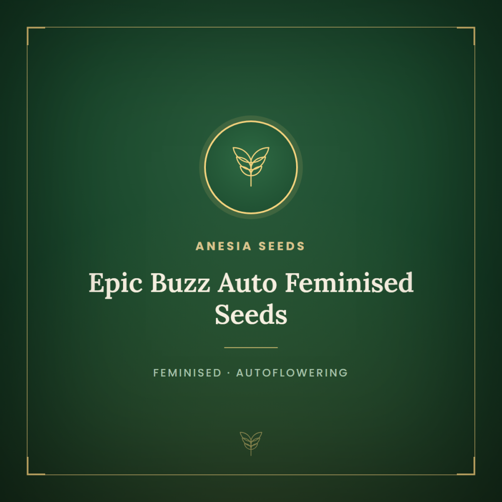 ANES-EPBU-AUTO-FEM-1000x1000-0.png