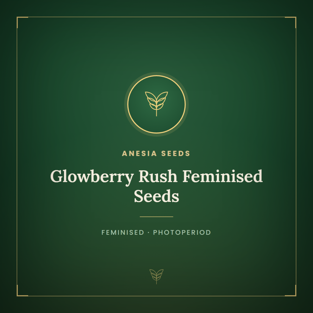 ANES-GLRU-FEM-1000x1000-0.png