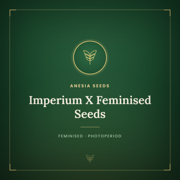 Imperium X Feminised Seeds
