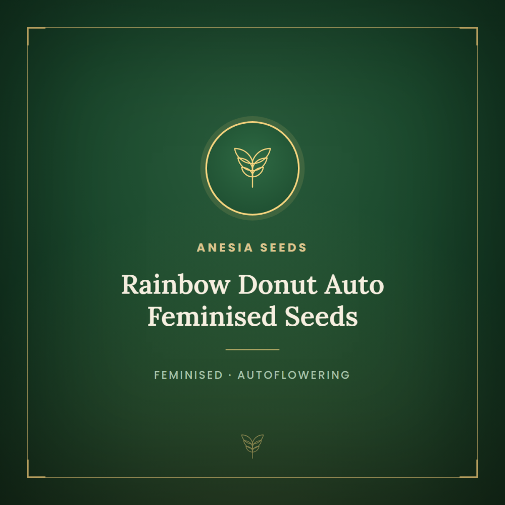 ANES-RADO-AUTO-FEM-1000x1000-0.png