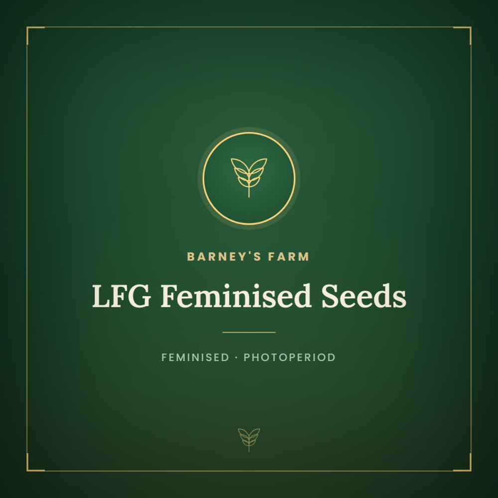BFS-LFG-FEM-1000x1000-0.png