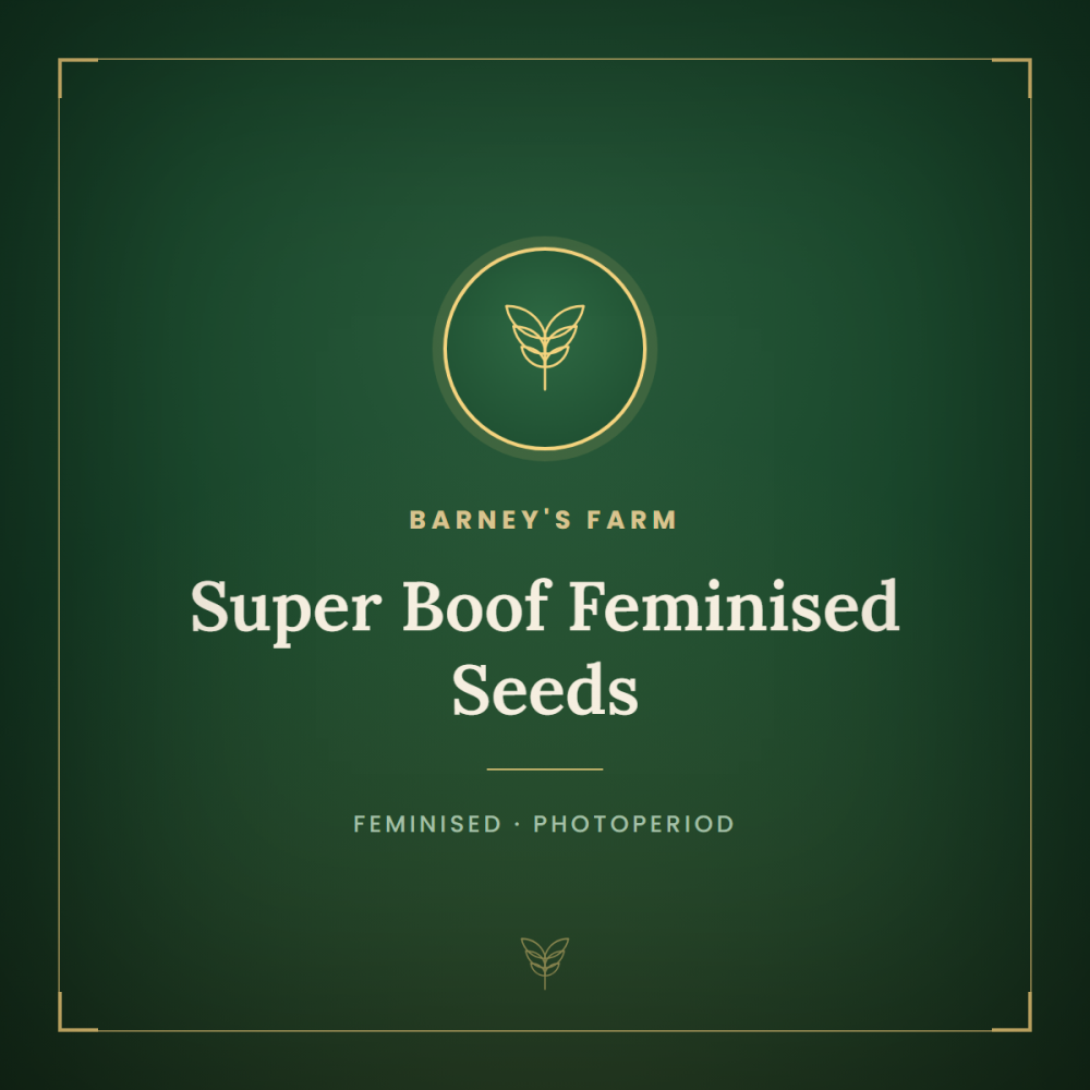 BFS-SUBO-FEM-1000x1000-0.png