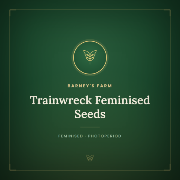 Trainwreck Feminised Seeds