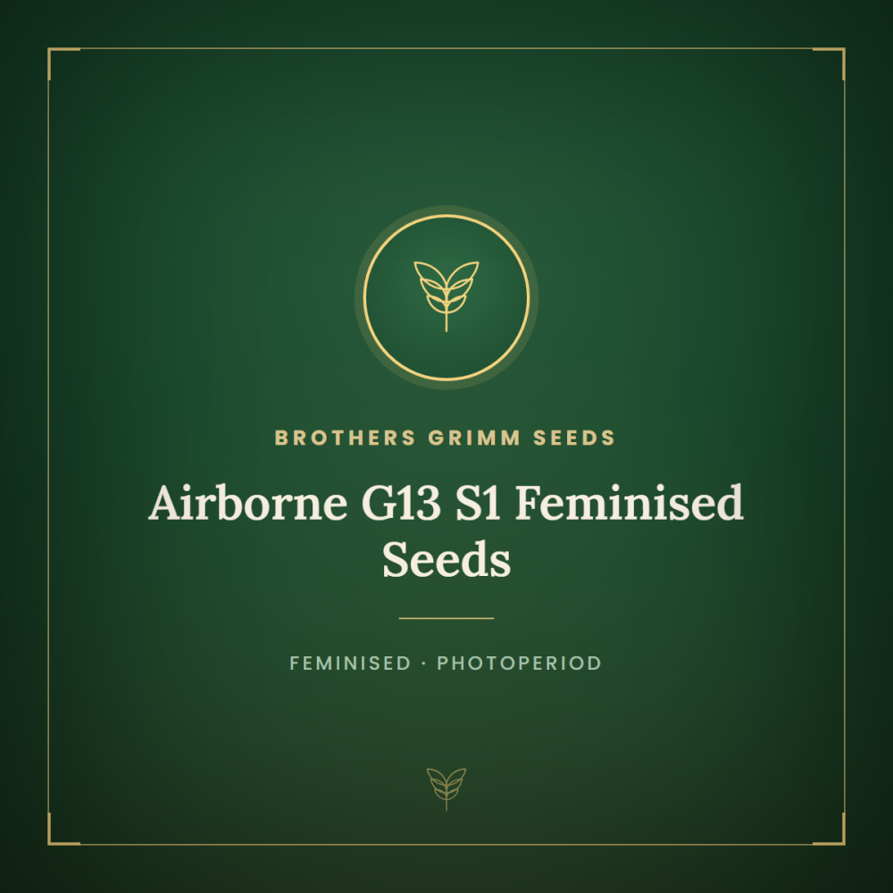 BGS-AG13S1-FEM-1000x1000-0.png