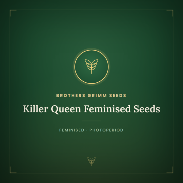 Killer Queen Feminised Seeds