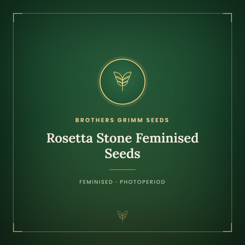BGS-ROST-FEM-1000x1000-0.png