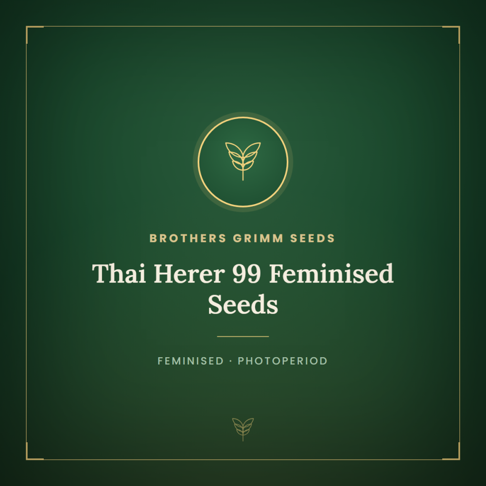 BGS-TH99-FEM-1000x1000-0.png