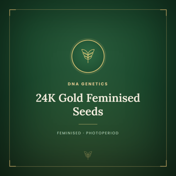 24K Gold Feminised Seeds