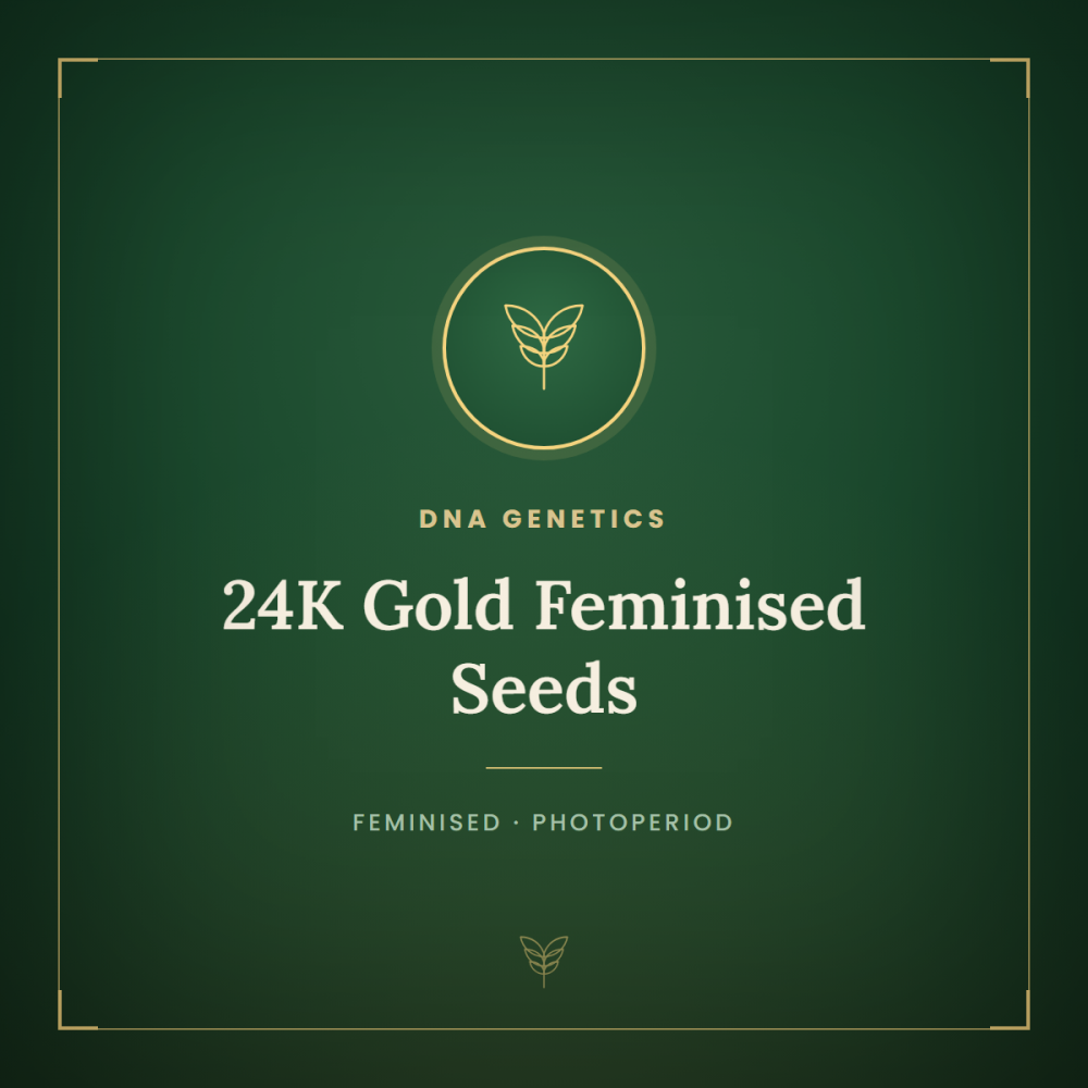DNA-24KG-FEM-1000x1000-0.png