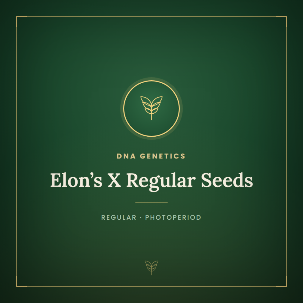 DNA-ELX-REG-1000x1000-0.png