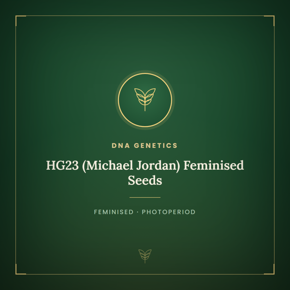 DNA-HG23-FEM-1000x1000-0.png