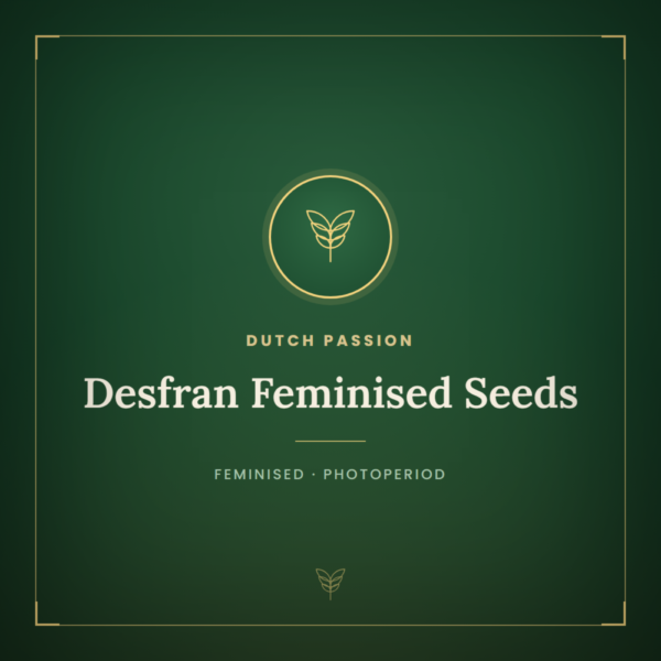 Desfran Feminised Seeds
