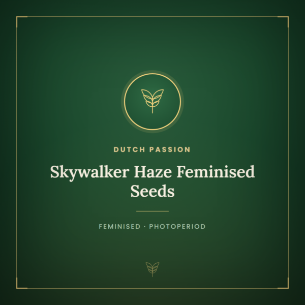 Skywalker Haze Feminised Seeds