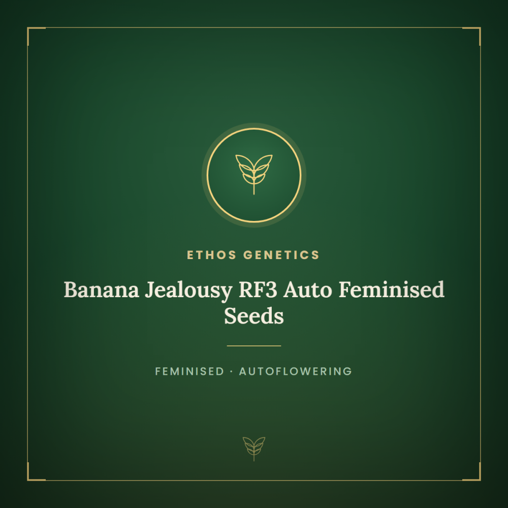ETHO-BANJRF3-AUTO-FEM-1000x1000-0.png