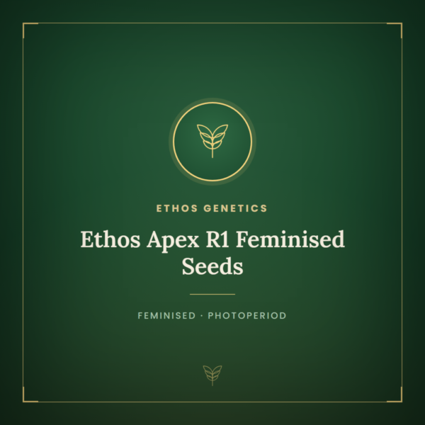 Ethos Apex R1 Feminised Seeds