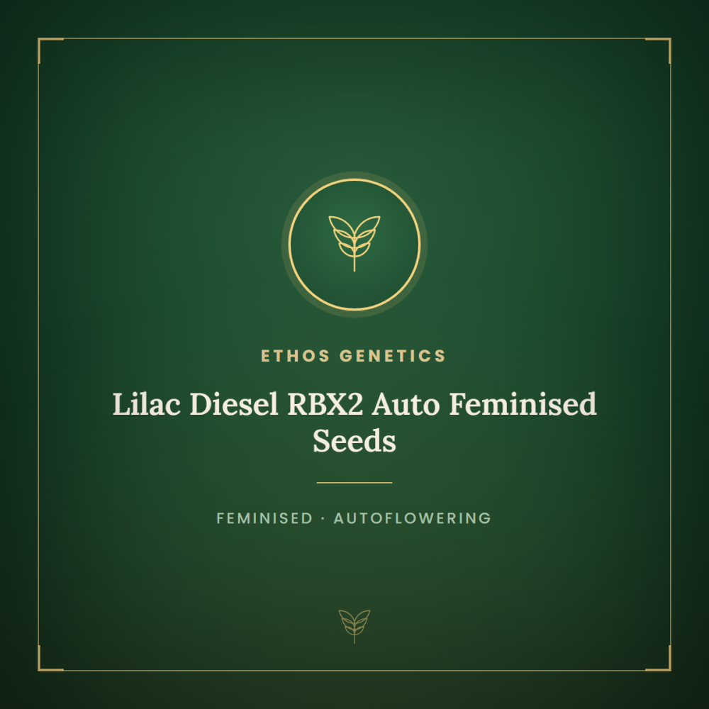 ETHO-LIDIRBX2-AUTO-FEM-1000x1000-0.png