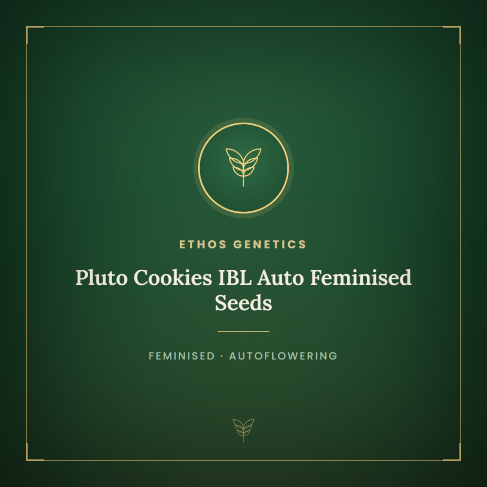 ETHO-PCIBL-AUTO-FEM-1000x1000-0.png