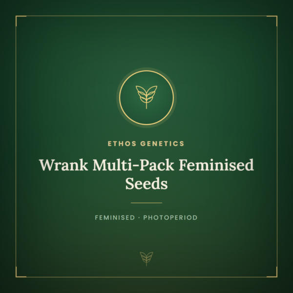 Wrank Multi-Pack Feminised Seeds
