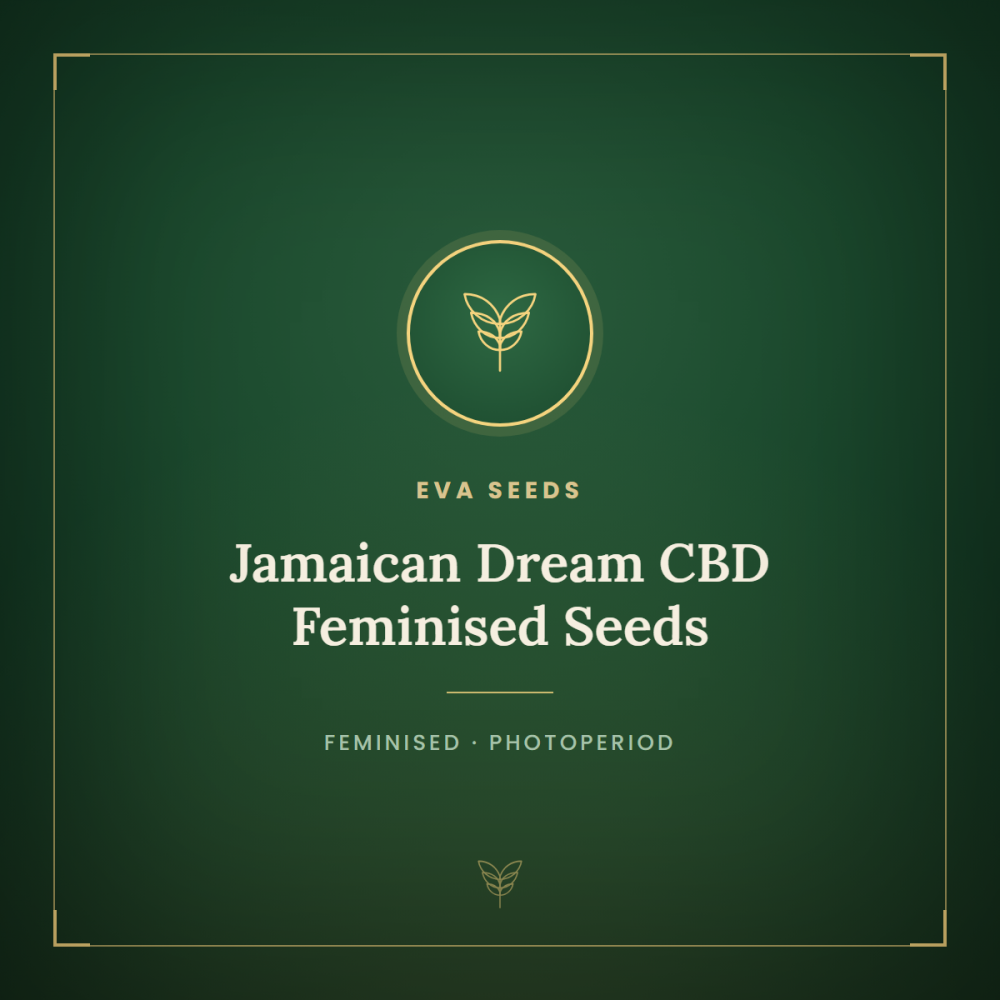 EVA-JAMD-CBD-FEM-1000x1000-0.png