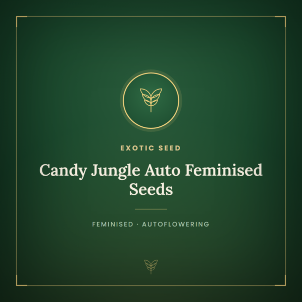 Candy Jungle Auto Feminised Seeds
