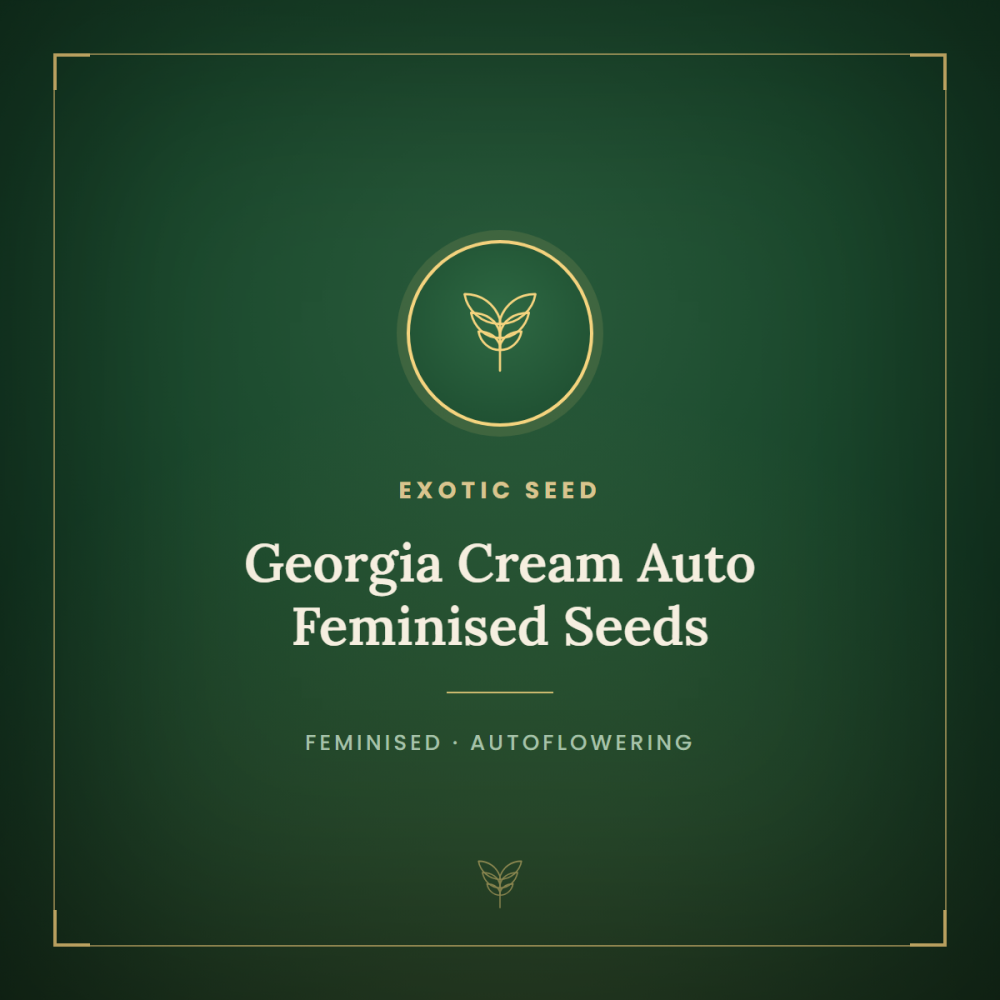 EXO-GECR-AUTO-FEM-1000x1000-0.png