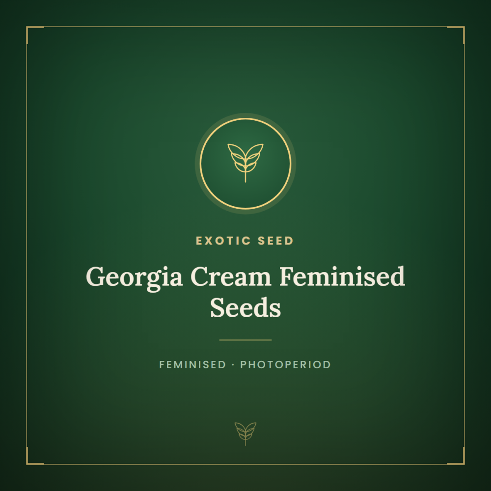 EXO-GECR-FEM-1000x1000-0.png