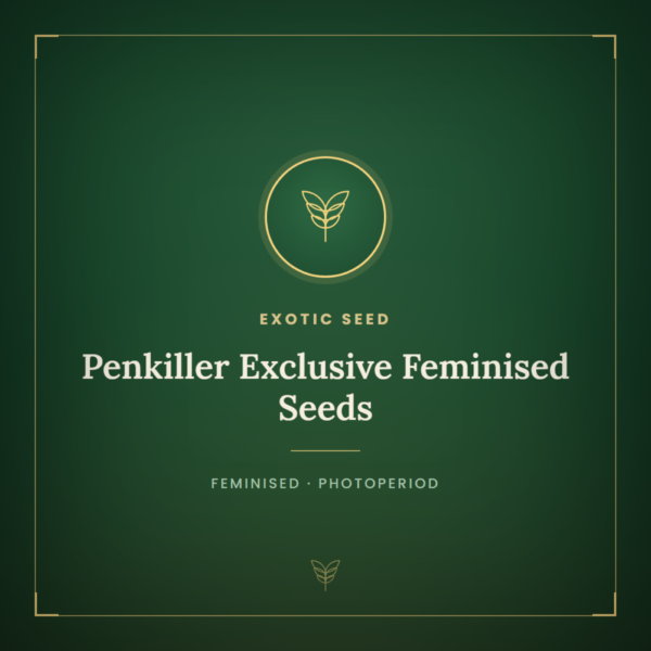 Penkiller Exclusive Feminised Seeds