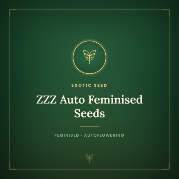 ZZZ Auto Feminised Seeds