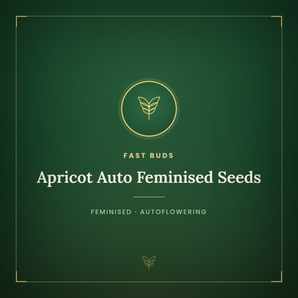 FB-APRI-AUTO-FEM-1000x1000-0.png