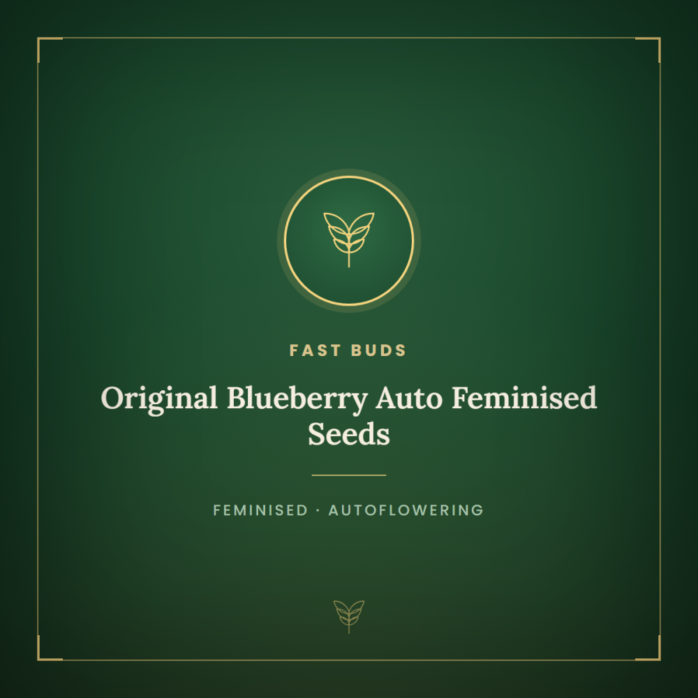 FB-BLUB-AUTO-FEM-1000x1000-0.png