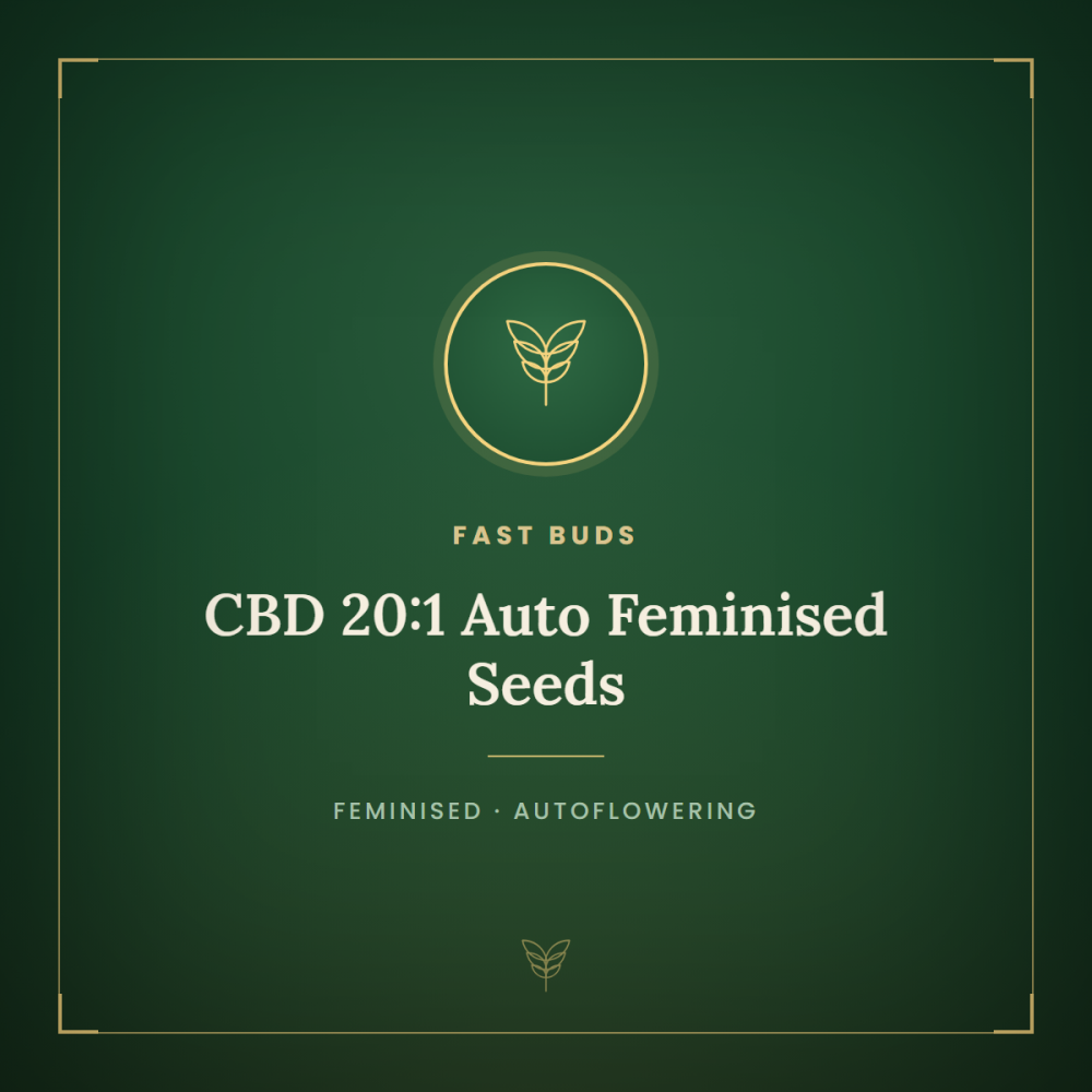 FB-CBD-AUTO-FEM-1000x1000-0.png