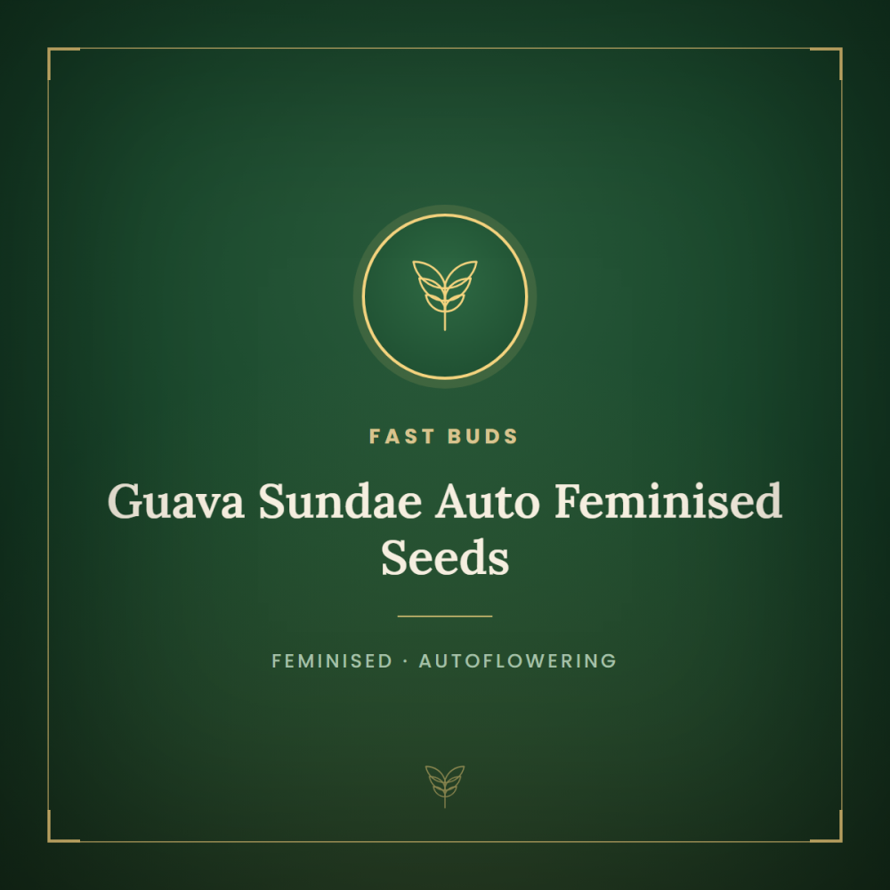 FB-GUSU-AUTO-FEM-1000x1000-0.png