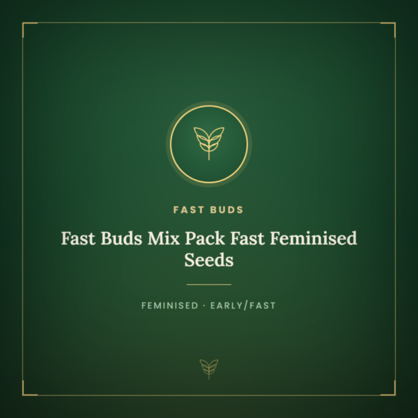 Fast Buds Mix Pack Fast Feminised Seeds