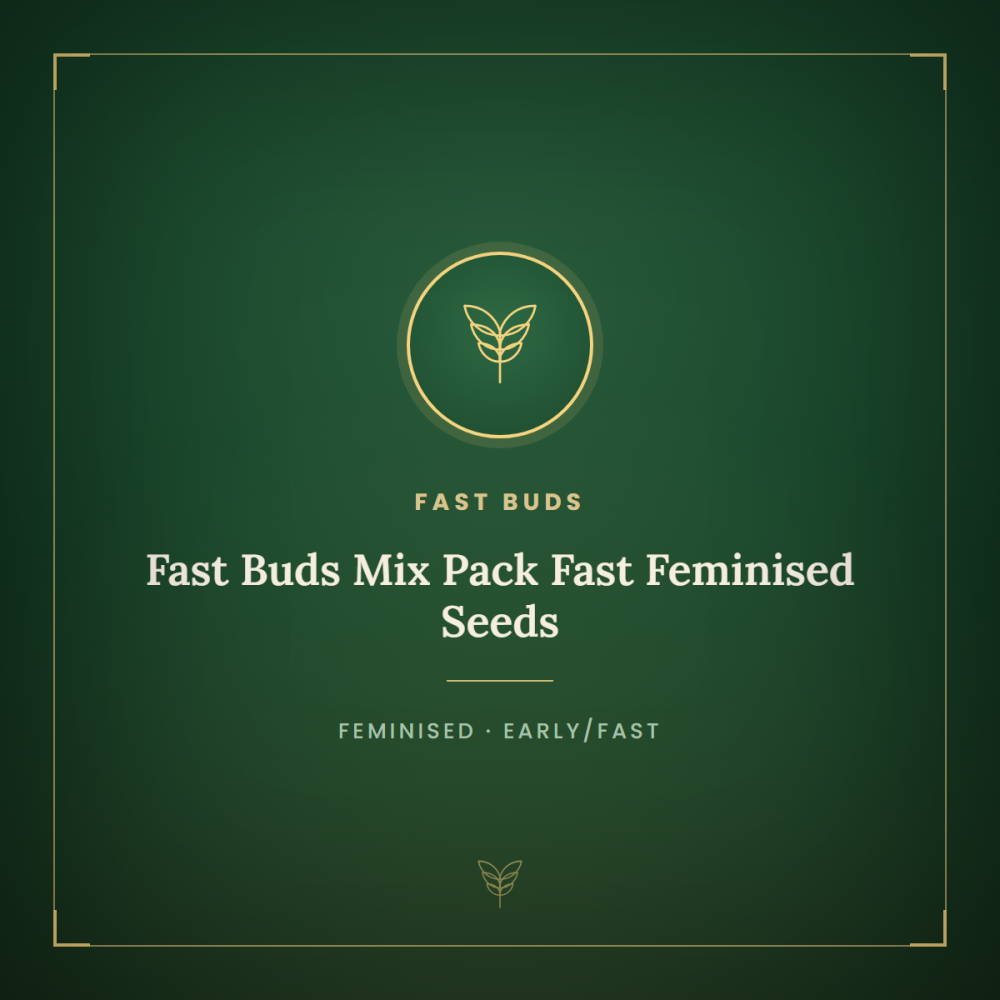 FB-MIX-FAST-FEM-1000x1000-0.png