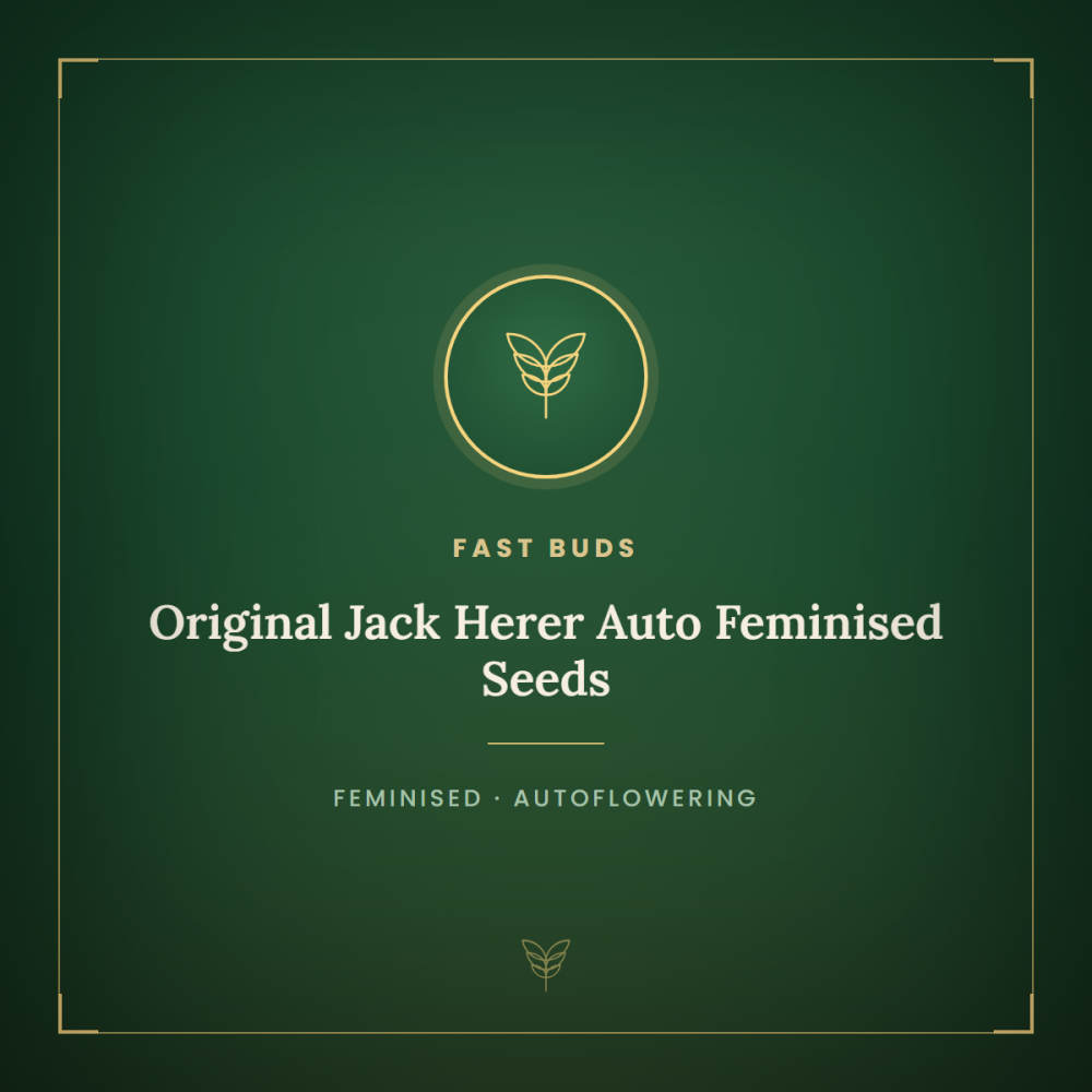 FB-OJH-AUTO-FEM-1000x1000-0.png