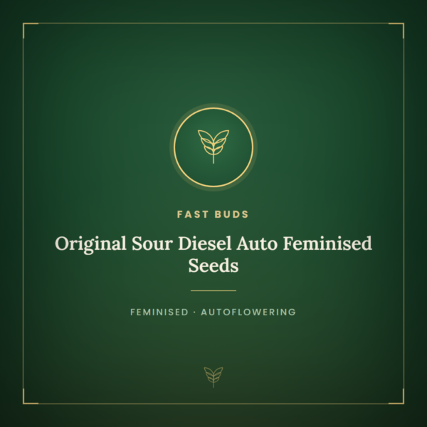 Original Sour Diesel Auto Feminised Seeds