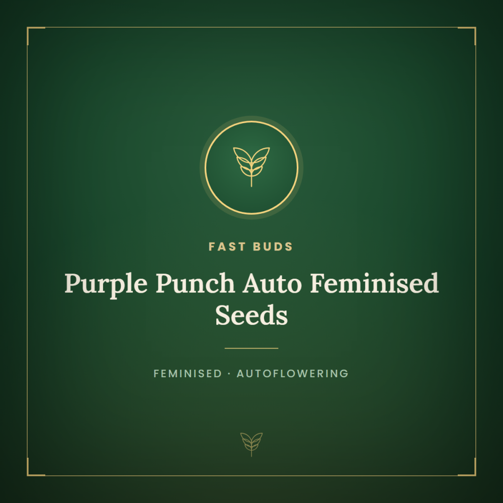 FB-PURPUN-AUTO-FEM-1000x1000-0.png