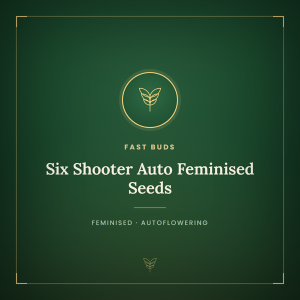 Six Shooter Auto Feminised Seeds