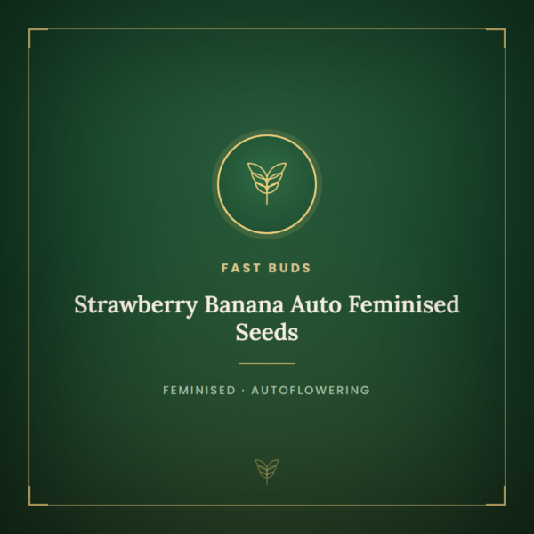 Strawberry Banana Auto Feminised Seeds