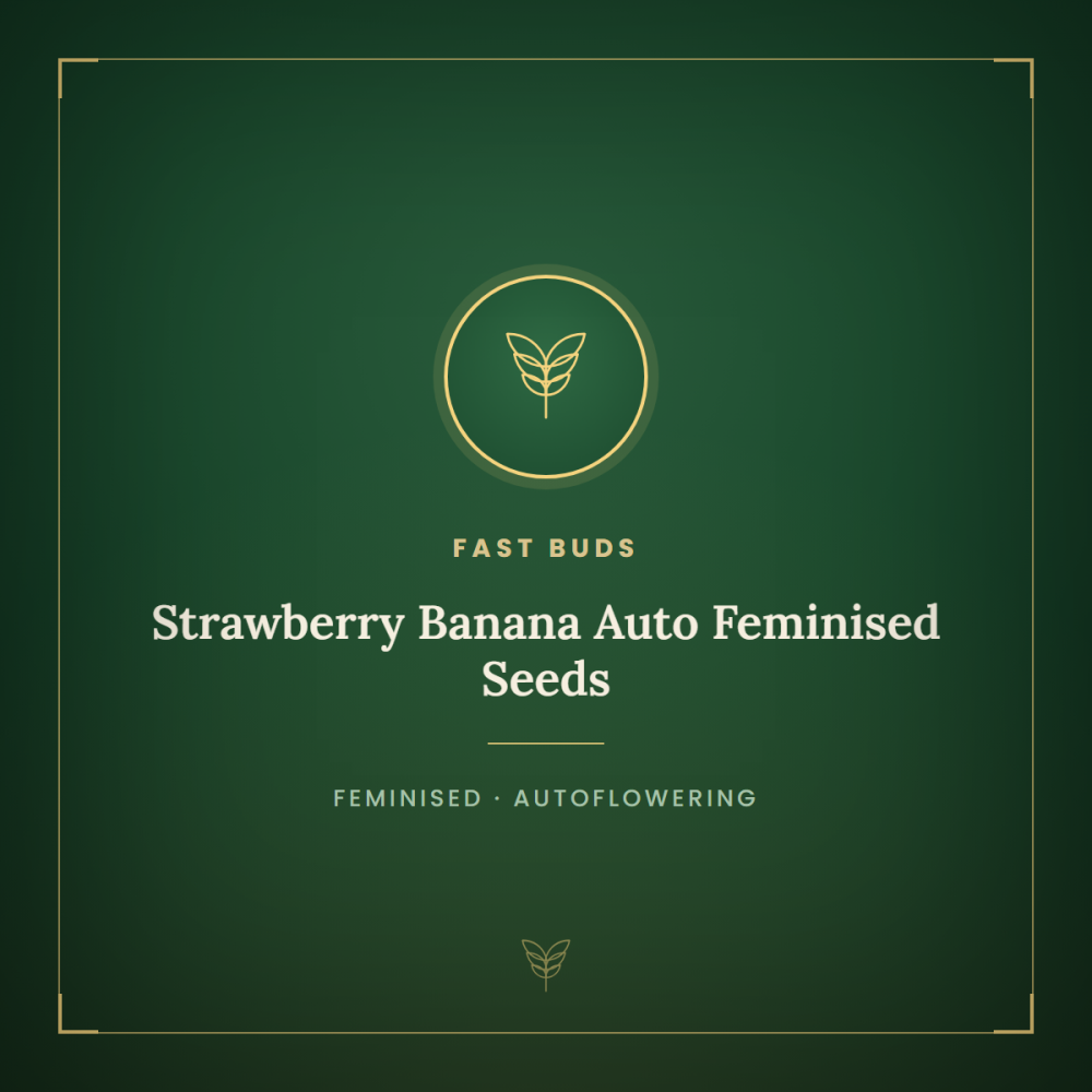 FB-STRBAN-AUTO-FEM-1000x1000-0.png