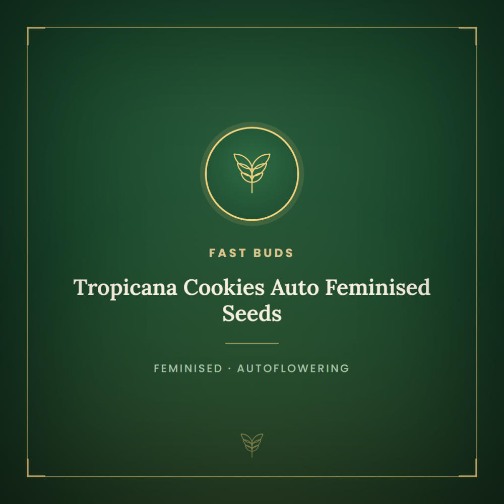 FB-TROPCO-AUTO-FEM-1000x1000-0.png