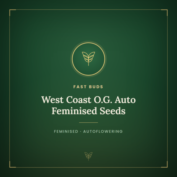 West Coast O.G. Auto Feminised Seeds