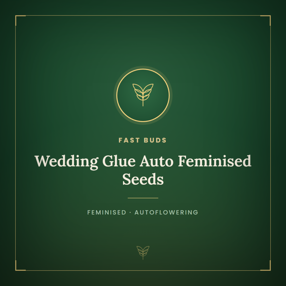FB-WEDGLU-AUTO-FEM-1000x1000-0.png