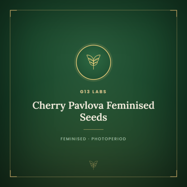 Cherry Pavlova Feminised Seeds
