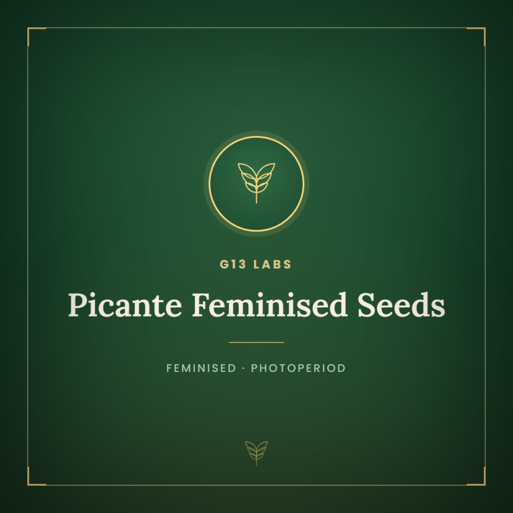 G13L-PIC-FEM-1000x1000-0.png