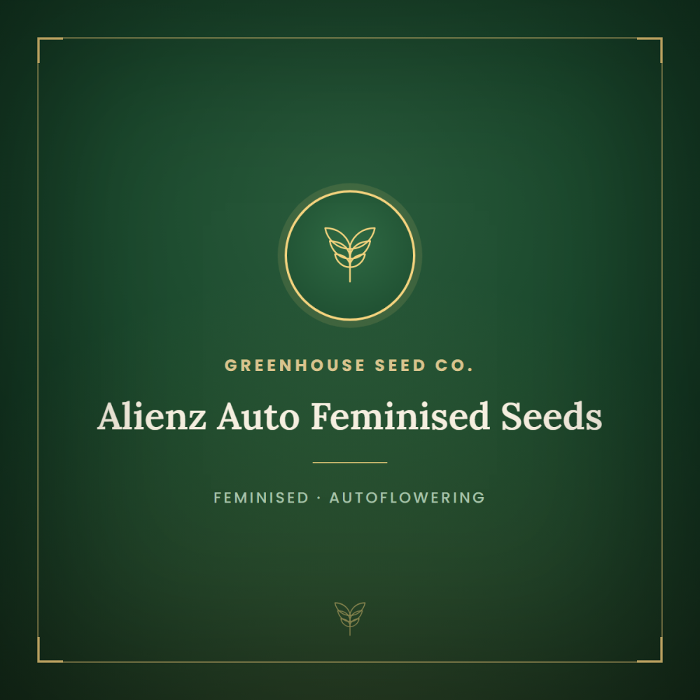 GH-ALZ-AUTO-FEM-1000x1000-0.png