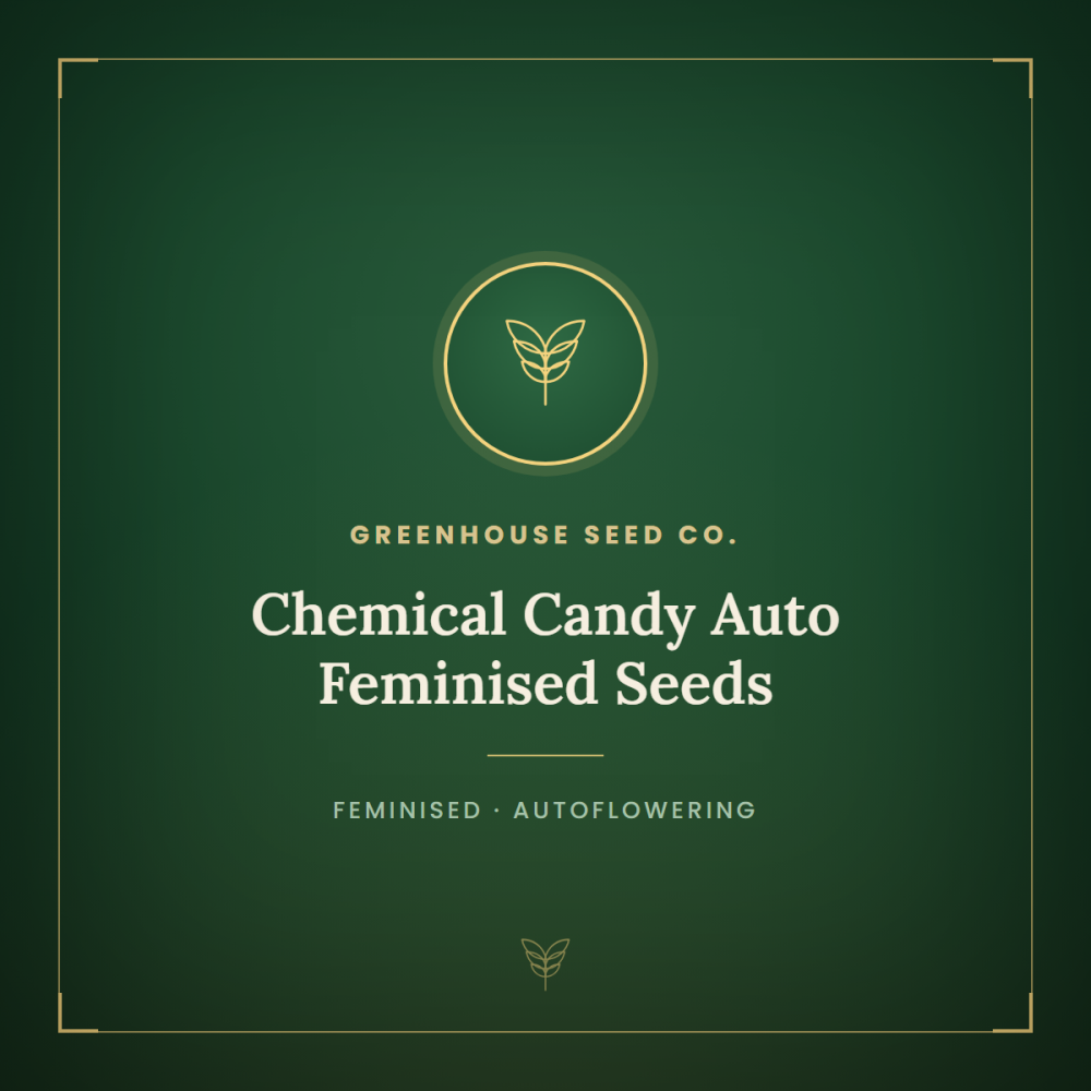 GH-CHC-AUTO-FEM-1000x1000-0.png