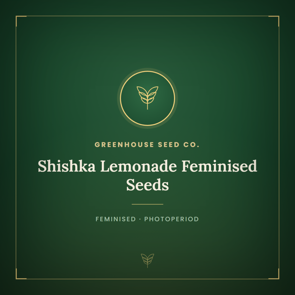 GH-SHLE-FEM-1000x1000-0.png